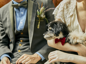 Ruban (リュバン) 演出1画像 2-4