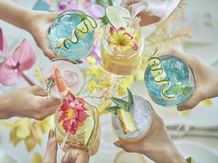 THE GRAND HOUSE(グランドハウス) Sky Terrace|スカイテラス画像 2-5