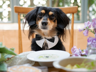 THE GRAND HOUSE(グランドハウス) 演出画像 2-2