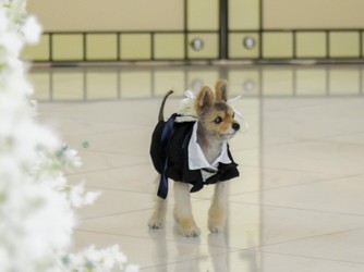 アヴァンセリアン大阪 チャペル(グランシエルジャルダン)画像 2-4