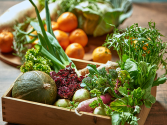 MEDI(メディー) 屋上農園の採れたて野菜でおもてなし画像 1-2