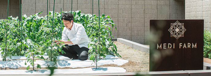 MEDI(メディー) 屋上農園の採れたて野菜でおもてなし画像 1-1