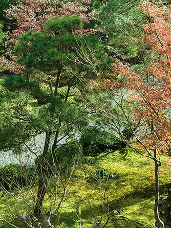 レストランひらまつ 高台寺 ロケーション1画像 1-2