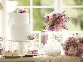 ザ・プレミアムレジデンス ラグナヴェール広島 フィオーレ カーサ【花の家】画像 2-4