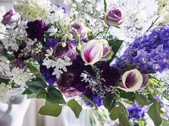 ザ・プレミアムレジデンス ラグナヴェール広島 フィオーレ カーサ【花の家】画像 2-2