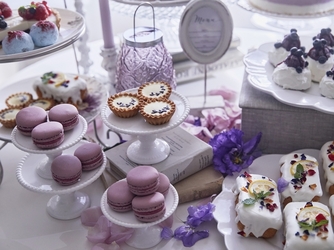 ザ・プレミアムレジデンス ラグナヴェール広島 フィオーレ カーサ【花の家】画像 2-4