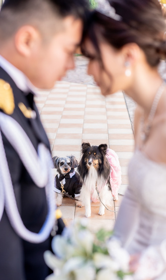 ウエディング ファンタジア チャペル(独立型チャペル)画像 1-1