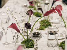 ホテルロイヤルクラシック大阪 演出6画像 2-4