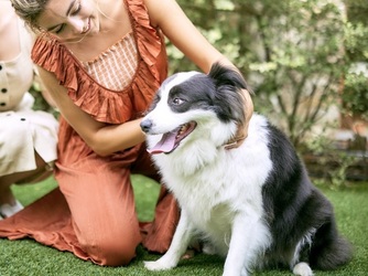 ARBRE ORANGE(アーブルオランジュ) 【GARDEN】自由度高い広大なガーデン画像 2-4