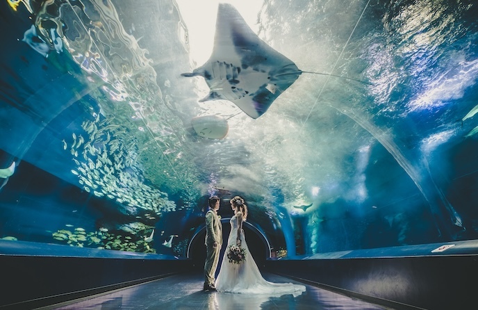 チャペル テンケイ アンド マリー(品川プリンスホテル内) 撮影スポット1画像 1