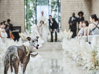 キンプトン新宿東京 チャペル(The Gallery)画像 2-2