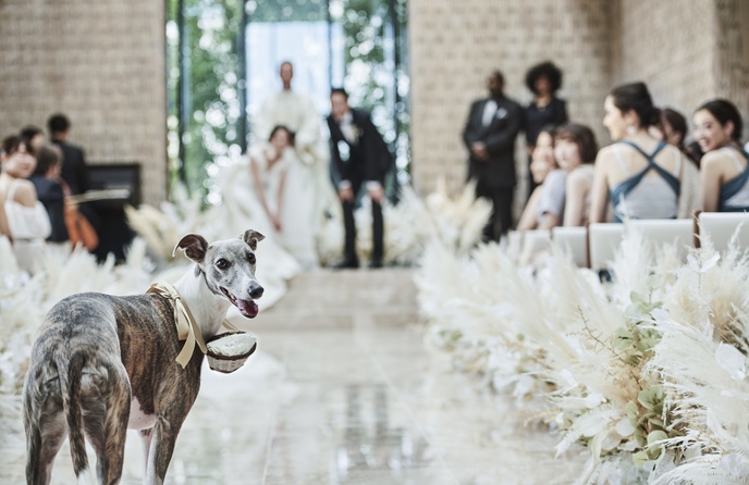 キンプトン新宿東京 演出画像 1