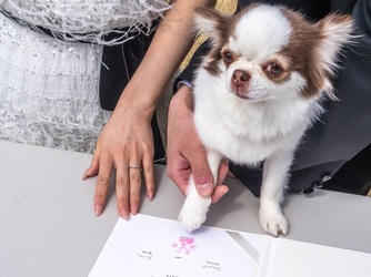 JWマリオット・ホテル奈良 セレモニースペース(ガーデン)画像 2-2