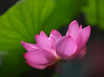 少人数専門 Roccaen Suite(重要文化財 六華苑) ロケーション1画像 1-3