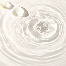 室町ギャラリーハウス 撮影スポット2画像 2-3