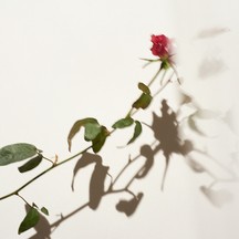 室町ギャラリーハウス 撮影スポット2画像 2-2