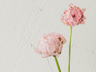 室町ギャラリーハウス 衣裳2画像 2-3