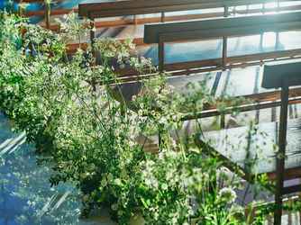 ザ・フォレストテラス熊本 熊本駅直結*水と緑溢れる非日常空間画像 2-4