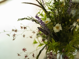 MAYA 演出1画像 1-2