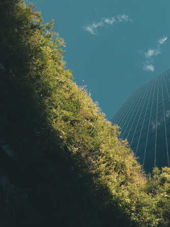 W大阪 ロケーション画像 1-1