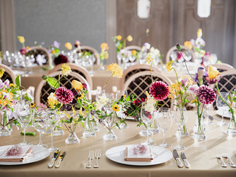 東郷神社・ルアール東郷 両面から自然光が差し込む 緑溢れる会場画像 2-3