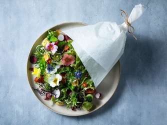 GRIGLIA Pagina(グリリア パージナ) グリリアパージナ画像 2-3