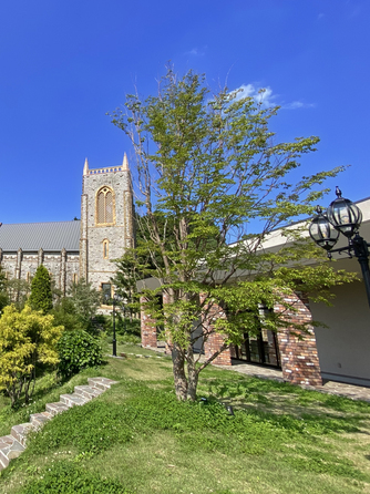 森の教会 ロケーション2画像 2-2