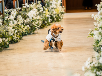 ザ・マークグランドホテル 演出画像 1-2