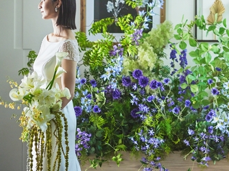 ＡＭＡＮＤＡＮ　ＢＬＵＥ　青島（アマンダンブルー青島） その他1画像 2-2