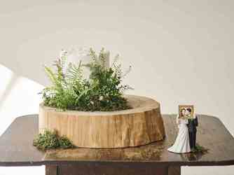 Hilltop Resort YAMANOUE(ヒルトップリゾート 福岡内) 料理・ケーキ4画像 2-3