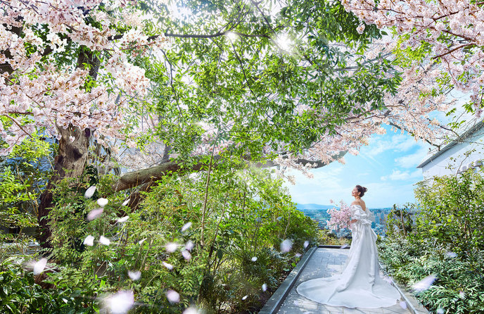 Hilltop Resort YAMANOUE(ヒルトップリゾート 福岡内) ロケーション1画像 2