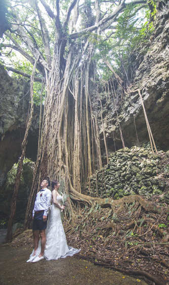 皿の上の自然(SALLY WEDDING DESIGN) 撮影スポット4画像 1-1