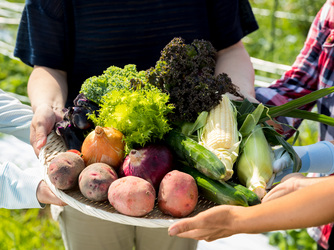 佐原商家町ホテル NIPPONIA 料理・ケーキ2画像 2-3