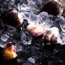 THE KEGO CLUB by HAPPO-EN 料理・ケーキ2画像 2-3