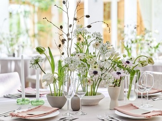 OLIVE ARIA(オリーブ アリア) コーディネートバリエーション画像 2-2