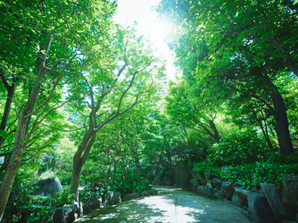 家族挙式@ウェスティンホテル大阪 付帯設備画像 1-3