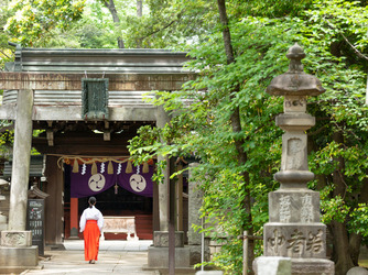 赤坂氷川神社/クチュールナオコ銀座店 神社(赤坂氷川神社)画像 2-3