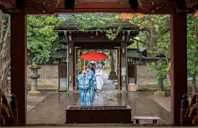 赤坂氷川神社/クチュールナオコ銀座店 神社(赤坂氷川神社)画像 1