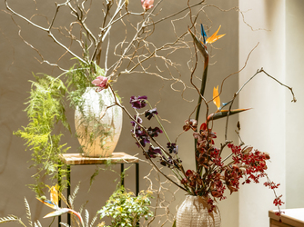 MAISON VERTE(メゾンヴェルテ) その他2画像 2-2