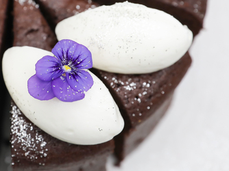 MAISON VERTE(メゾンヴェルテ) その他2画像 2-3