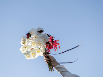 ヘリテージパーク 水戸 ロケーション2画像 2-3