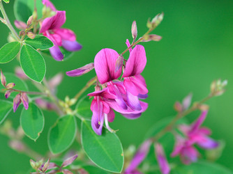 ヘリテージパーク 水戸 ロケーション3画像 2-3