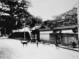 料亭 菊水楼 歴史画像 2-2