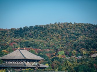 料亭 菊水楼 ロケーション画像 2-3