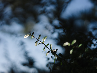 CRAZY GRANDE MAISON 外観画像 1-2