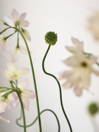 CRAZY GRANDE MAISON チャペル(Celebration Hall)画像 2-2