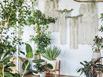 AMANDAN PEAK(アマンダンピーク) コンセプトウエディング画像 1-3