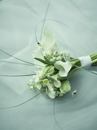 JWマリオット・ホテル東京 衣裳画像 1-2