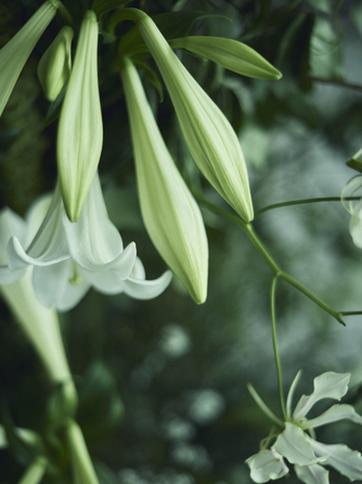 JWマリオット・ホテル東京 その他2画像 2-2
