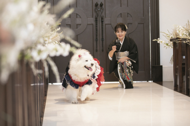 結婚式実例in兵庫県_01